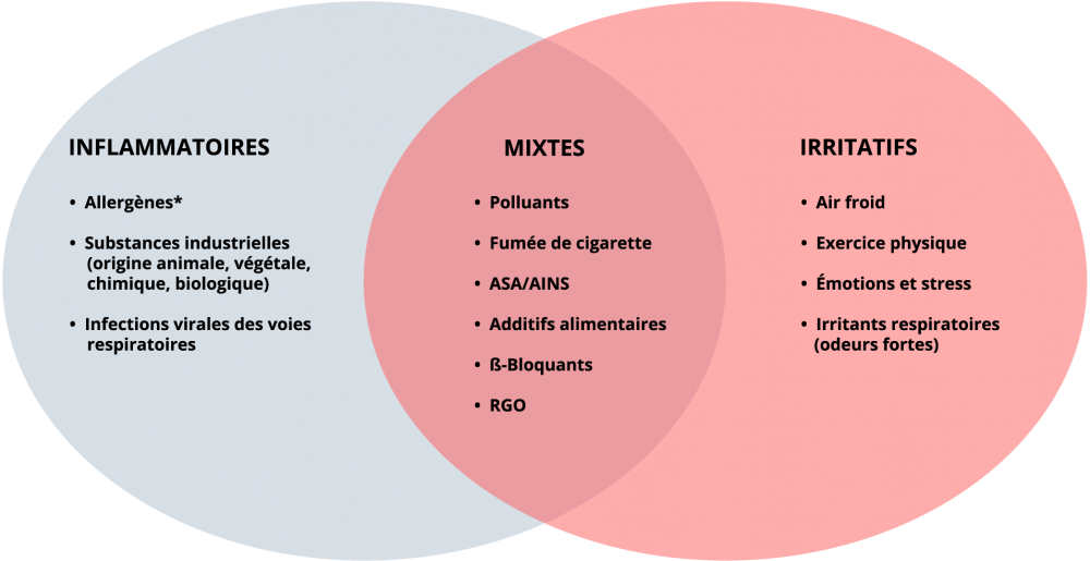 Facteurs inflammatoires: Allergènes*, Susbstances industrielles (origine animale, végétale, chimique, biologique) - Mixtes: Polluants, fumée de cigarette, ASA/AINS, Additifs alimentaires, bêta-bloquants, RGO - Irritatifs: air froid, exercice physique, émotions et stress, irritants respiratoires (odeurs fortes)