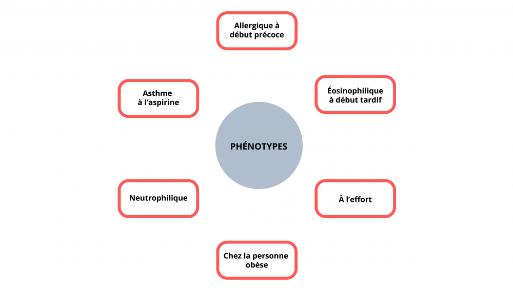 L'allergique à début précoce, l'éosinophilique à début tardif, à l'effort, chez la personne obèse, neutrophilique et l'asthme à l'aspirine